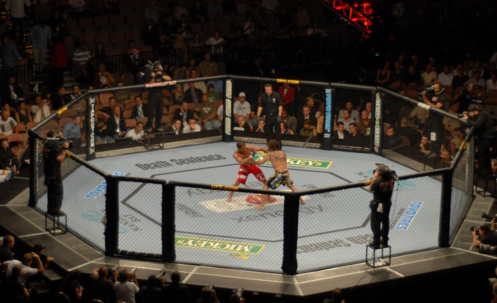 Van Dominates Pantoja Again to Keep UFC Flyweight Title